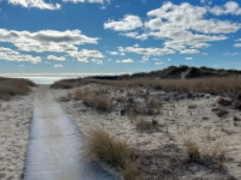 The Cape Codder: Large Yard, Steps to Town & Beach Hotels in Harwich