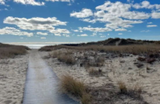 The Cape Codder: Large Yard, Steps to Town & Beach