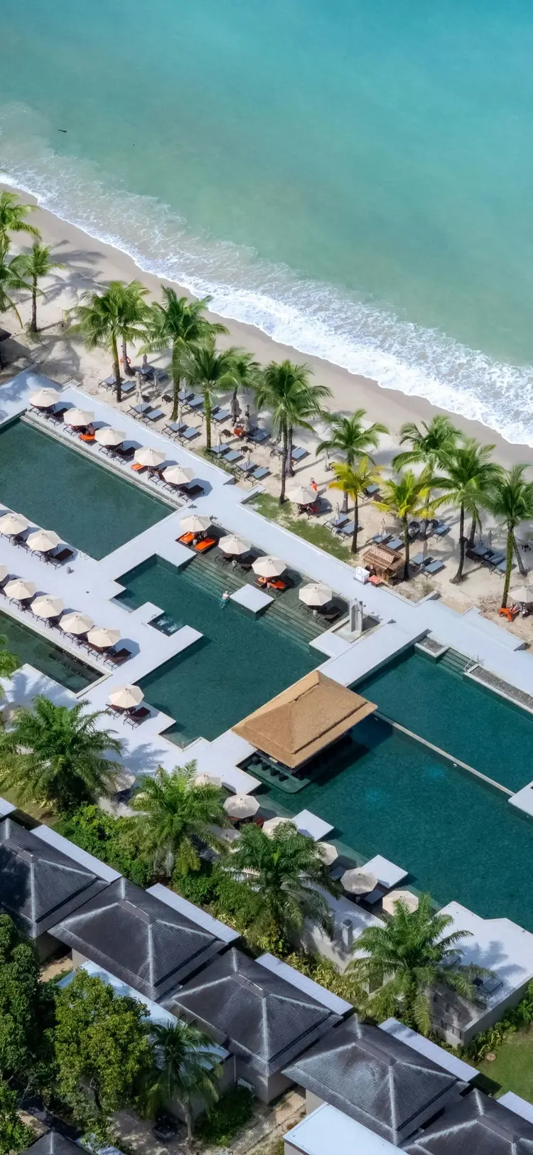 รูปภาพของananea บียอนด์ เขาหลัก