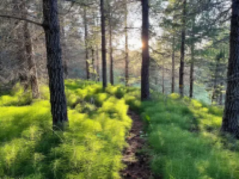 Eyjólfsstaðir Guesthouse Egilsstaðir