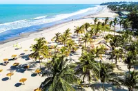 Palm Beach Hotel - Ocean View