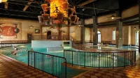 Efteling Bosrijk - Theme Park tickets included - piscine