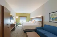 Holiday Inn Express & Suites TAMPA -USF-BUSCH GARDENS by IHG