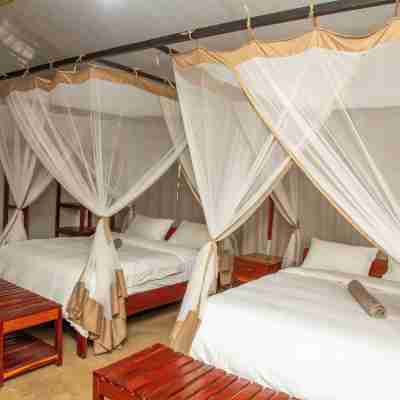 Oxpecker Safari Lodge Rooms