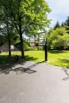 Dream Country Getaway 27 Acres in Conesus, NY! New Game Room! - Homestays