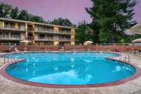 Best Western Fairfax - Pools