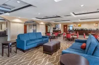 Comfort Inn & Suites - parking