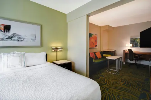 SpringHill Suites Baltimore BWI Airport - Parkering