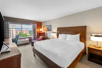 Hilton Garden Inn Overland Park - Gym