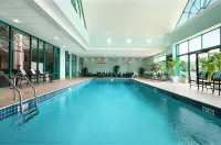 Embassy Suites by Hilton Chicago Lombard Oak Brook - Pools