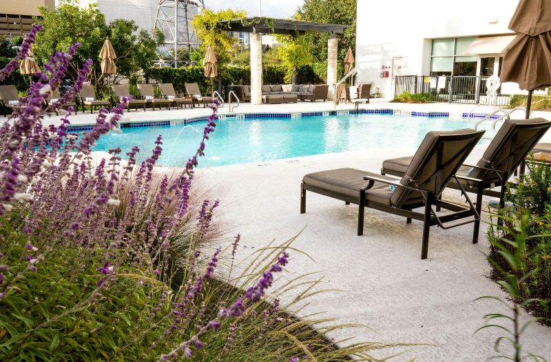 The Westin Austin at the Domain photo 5