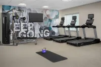 SpringHill Suites Atlanta Buford/Mall of Georgia - Gym