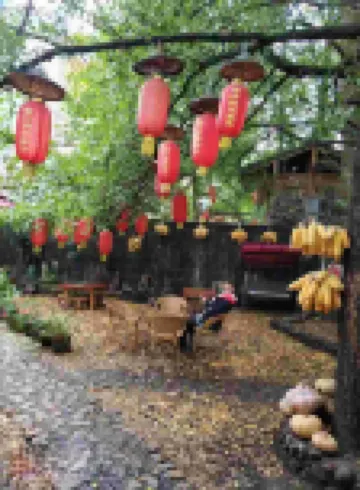 Tengchong Jinyeyuan Farmhouse