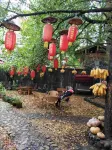 Tengchong Jinyeyuan Farmhouse