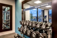 Hampton Inn & Suites Pittsburgh-Downtown - Gym