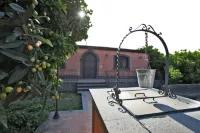 The Garden in the City Center