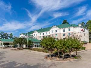 Hilton Garden Inn Houston/The Woodlands