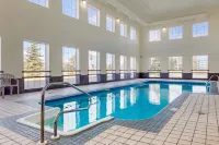 Comfort Inn - piscine