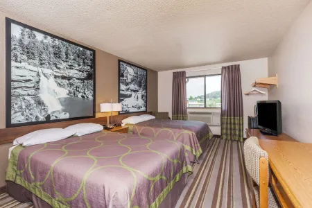 Super 8 by Wyndham Dunbar/Charleston Area Отели в г. Данбар