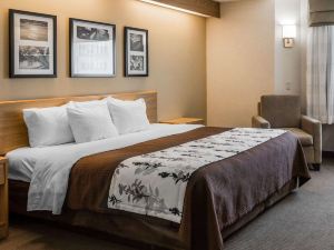 Sleep Inn Lynchburg - University Area & Hwy 460