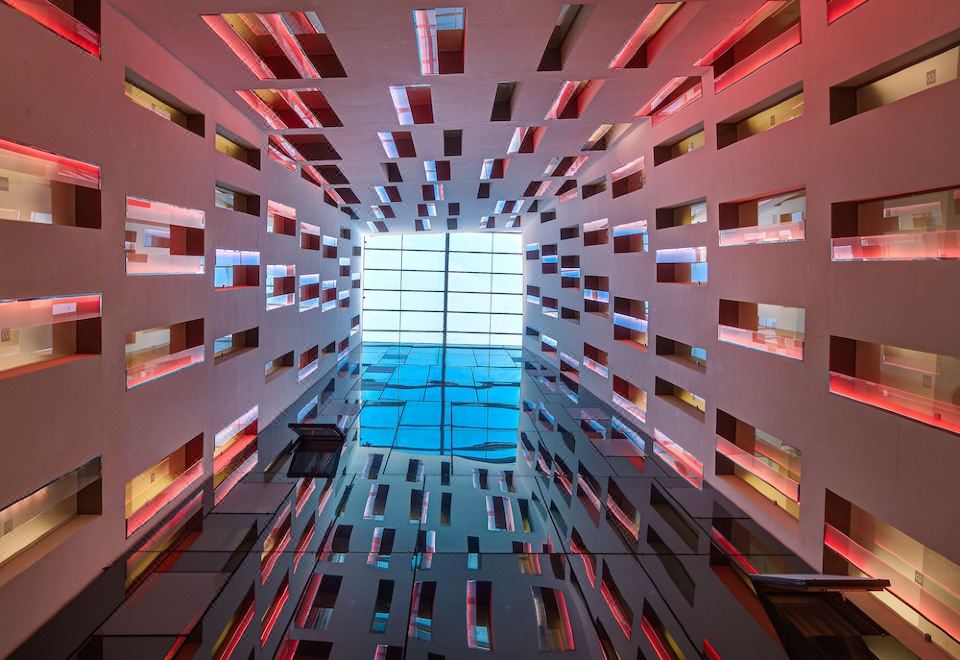 세르코텔 로세욘