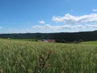 Mittelberghof