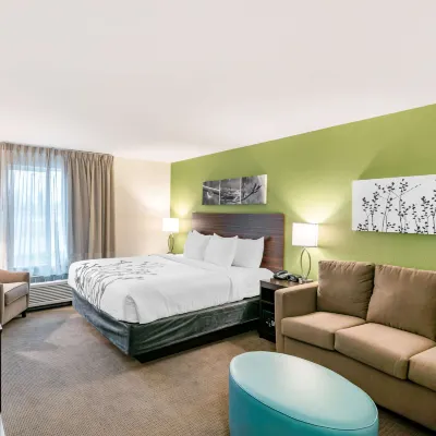 Sleep Inn Spokane Airport Hotels near John A. Finch Arboretum