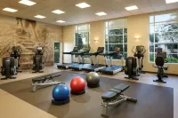 Hilton Grand Vacations Club Las Palmeras Orlando - gimnasio