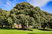 Lunan House - parking