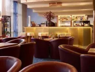 Kurhotel Pyramide Bad Windsheim - bar