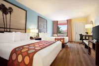 Super 8 by Wyndham, Florida City/Homestead/Everglades Hotel a Homestead
