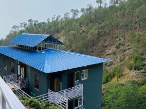 The Frost Wood, Ranikhet, Uttarakhand