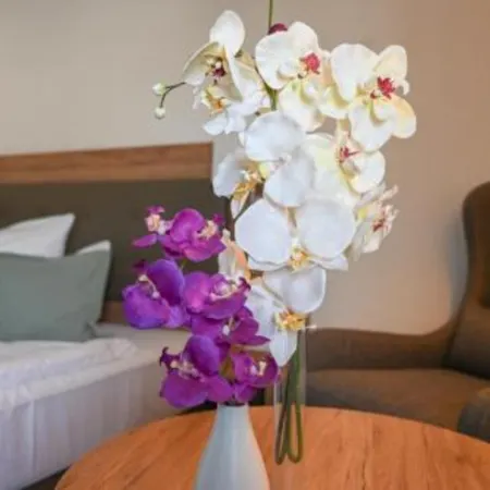 Novo Premium Hotel by As