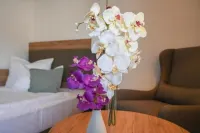 Hotel Novostar Göttingen - Boutique