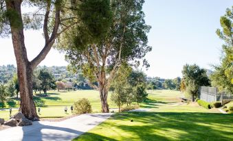 a lush green golf course with tall trees and a path leading to the next hole at San Vicente Golf Resort