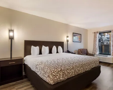 SureStay Hotel by Best Western St. Pete Clearwater Airport Hotels in Feather Sound