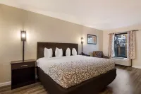 SureStay Hotel by Best Western St. Pete Clearwater Airport
