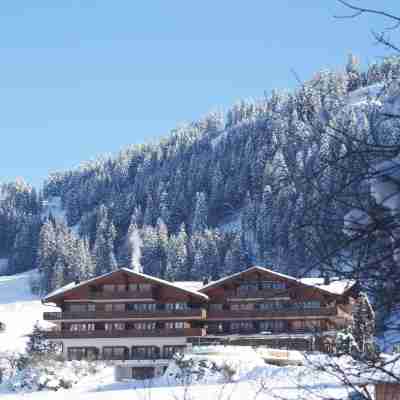 Hotel le Grand Chalet Gstaad Hotel Exterior
