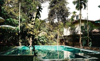 Surf & Yoga Sri Lanka - Surf Camp and Yoga Retreat with Coworking Space