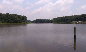 a large body of water , possibly a lake or a river , surrounded by trees and grass at Marvels on the Creek