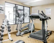 Comfort Inn & Suites Maumee - Toledo I80-90 - Gym