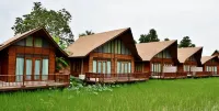 Rice Farm Villa Suratthani