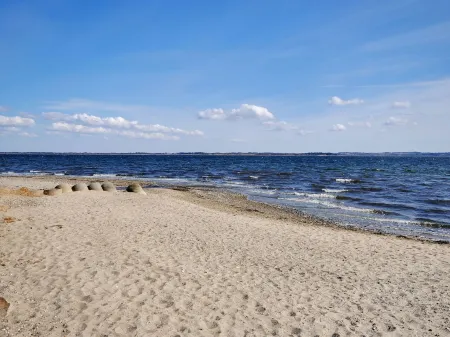 "Aliza" - 300m to the Fjord Отели в г. Roslev