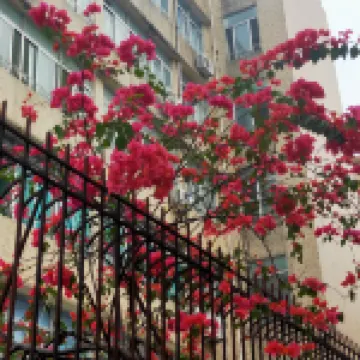 Huahua Holiday B&B Hotel (Guangzhou North Railway Station Huacheng Road Subway Station) 花都湖百花商業広場周辺のホテル