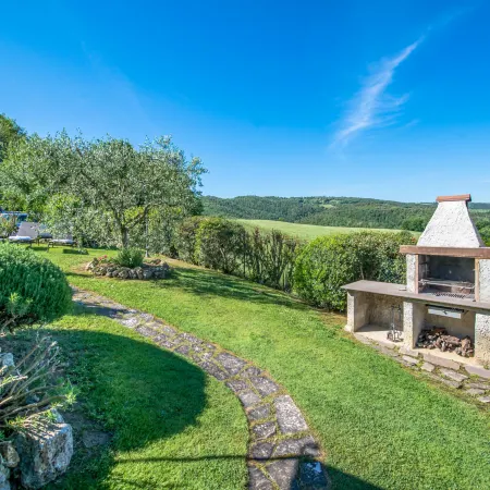 Vineyard View