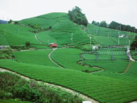 京都南山城萬楓酒店 相樂郡酒店