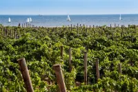Firriato Hospitality - Calamoni di Favignana Apartments