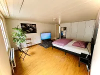 Newly Furnished Beautiful Old Building Apartment in the Center with Apple TV O1 Hôtels à : Gaiserwald