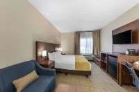 كومفرت سويتس (Comfort Suites) فنادق في تولير