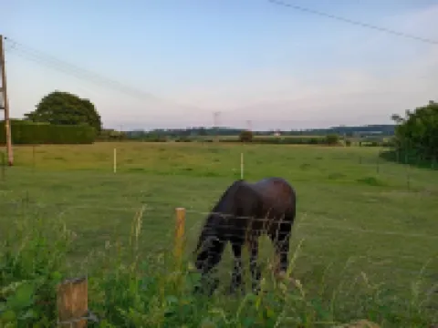 4 Bed House - Sleeps 10 - Pets - Parking - Wifi